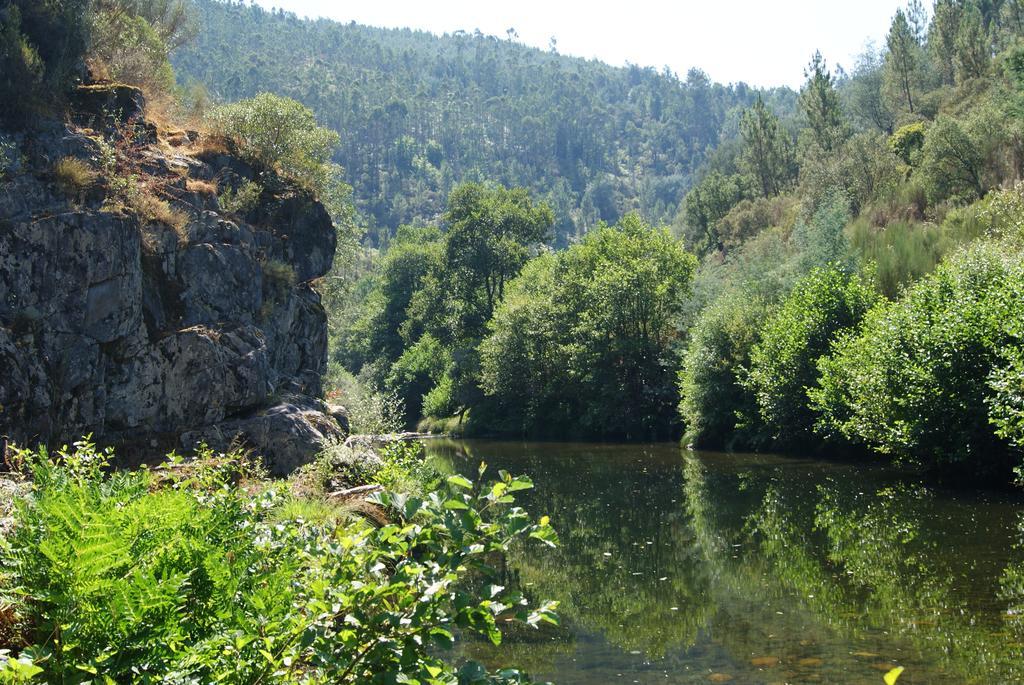 Casa Das Oliveiras Colmeal  Szoba fotó